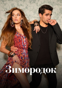 Зимородок онлайн