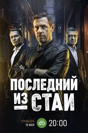 Последний из стаи онлайн