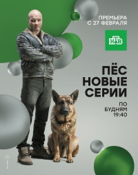 Пес-6 Сезон онлайн